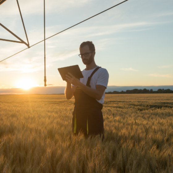 Man standing in grain field with ipad