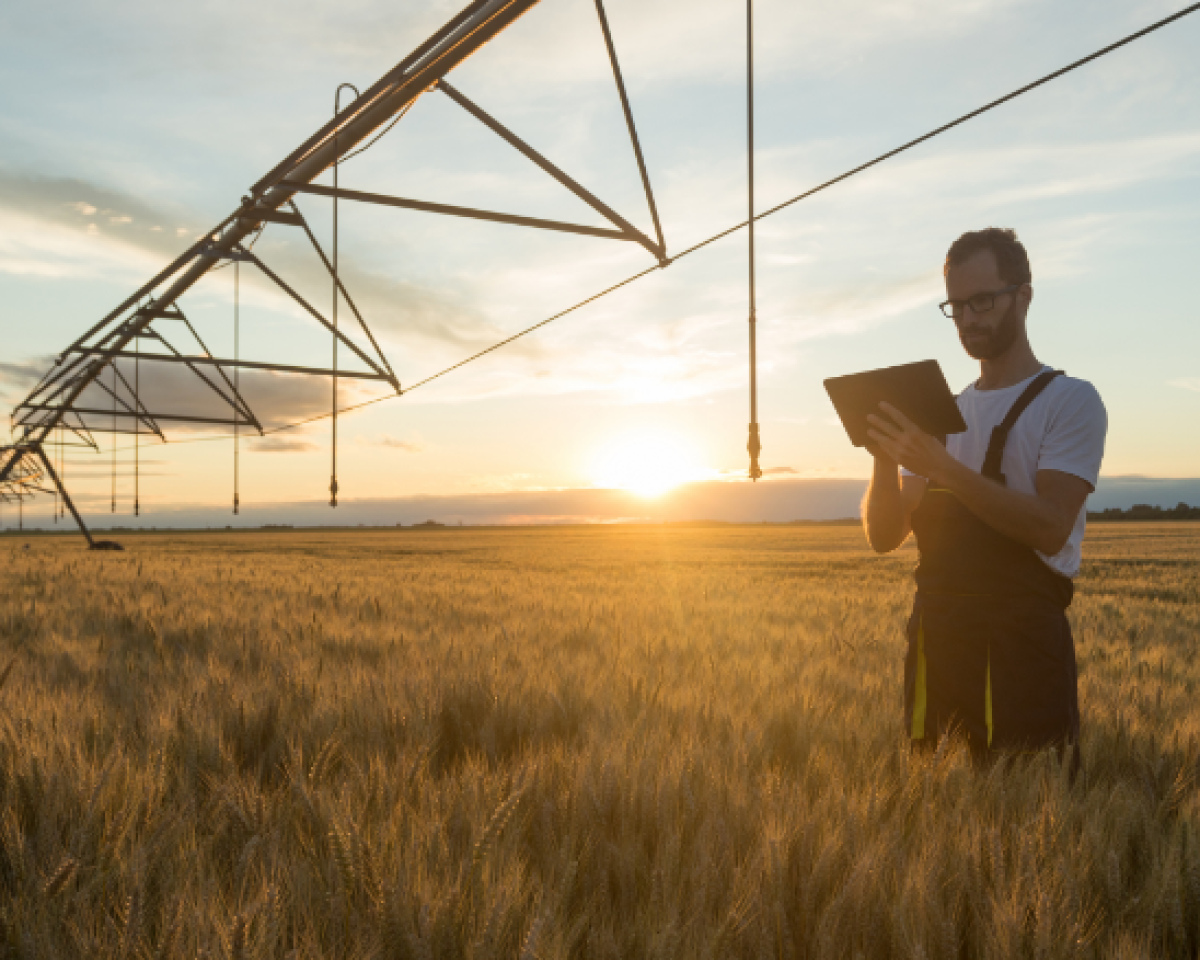 man on ipad in nature